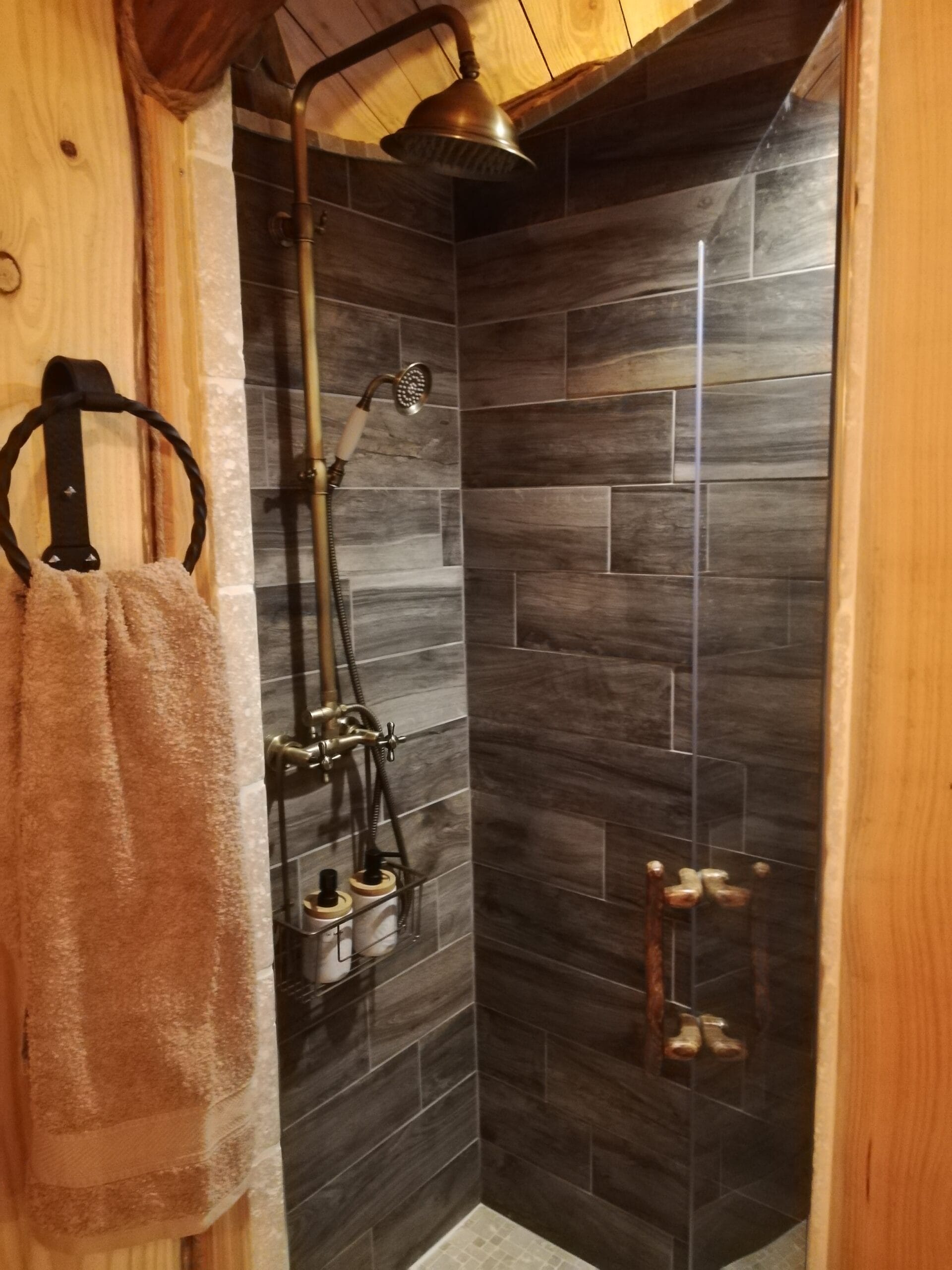 Hébergement Douche avec porte en verre et patère portant une serviette au premier plan