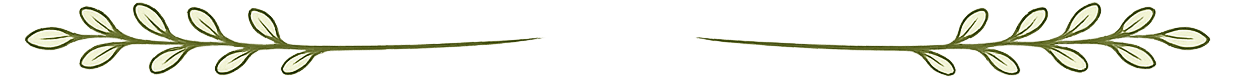 séparateur feuille