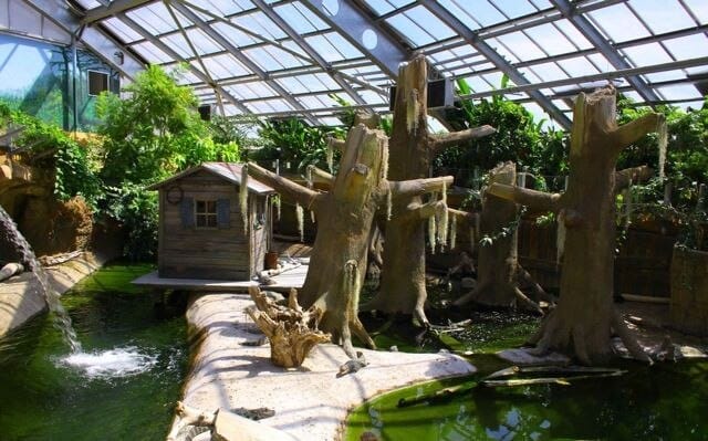 Décor intérieur de la serre tropicale de Terre de Dragon à Civaux, Vienne, Poitou
