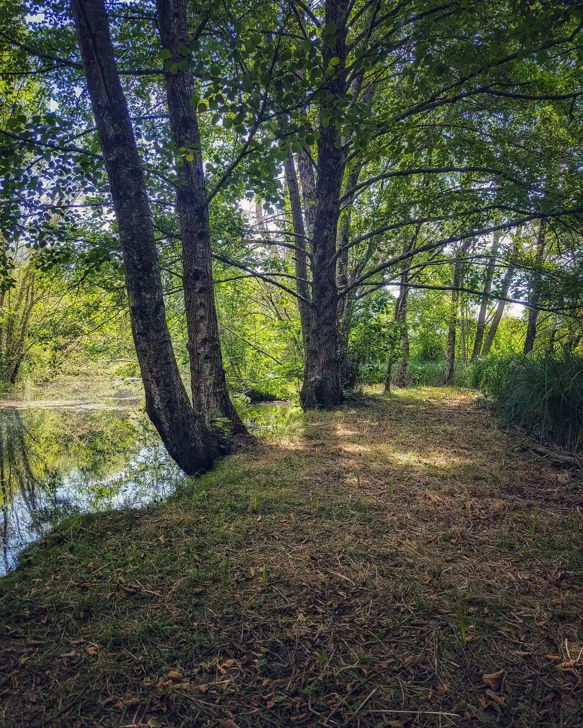 Hébergement chemin bord riviere coteau des fadets