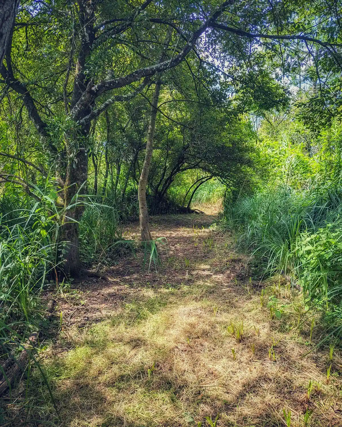 Hébergement chemin zone naturelle coteau des fadets